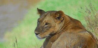 Co to jest rezerwa budżetowa?