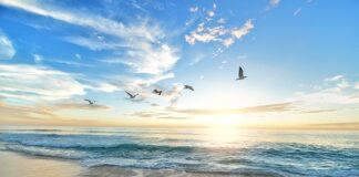 Jak wykończyć brzegi płyty meblowej?