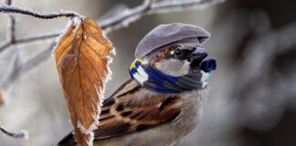 Jak najtaniej ogrzać mieszkanie?