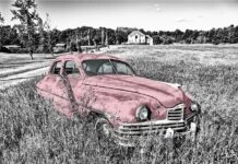 Czy warto kupić grzejnik olejowy?