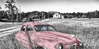 Czy warto kupić grzejnik olejowy?