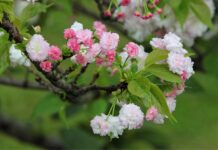 Jaka jest żywotność okien plastikowych?