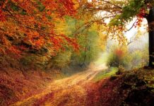 Do którego roku można ogrzewać gazem?